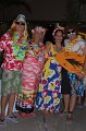 DSC_0030 (3)